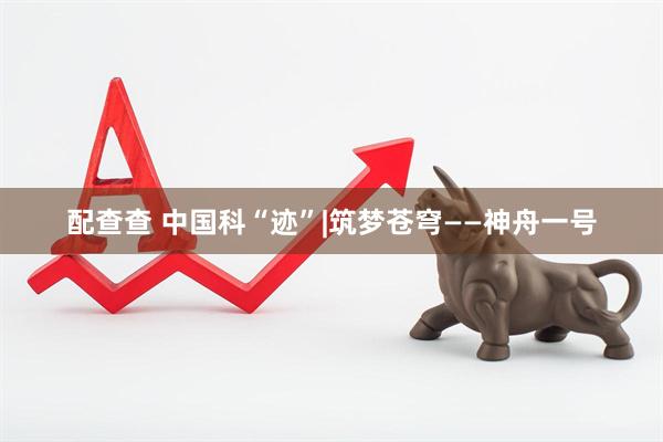 配查查 中国科“迹”|筑梦苍穹——神舟一号